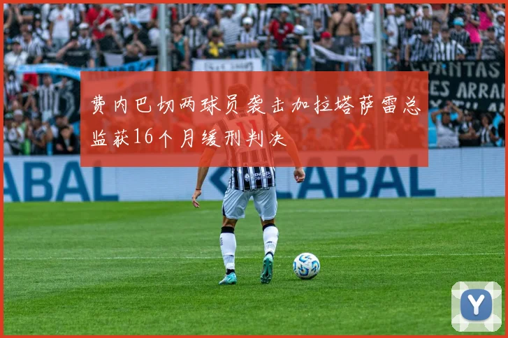 费内巴切两球员袭击加拉塔萨雷总监获16个月缓刑判决